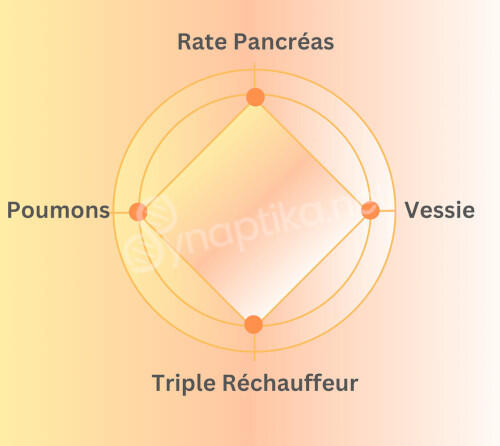 Cercle avec un carré formé par quatre points à l'intérieur, symbolisant des concepts spirituels ou des structures physiques, la tentative d'harmoniser le spirituel et le matériel