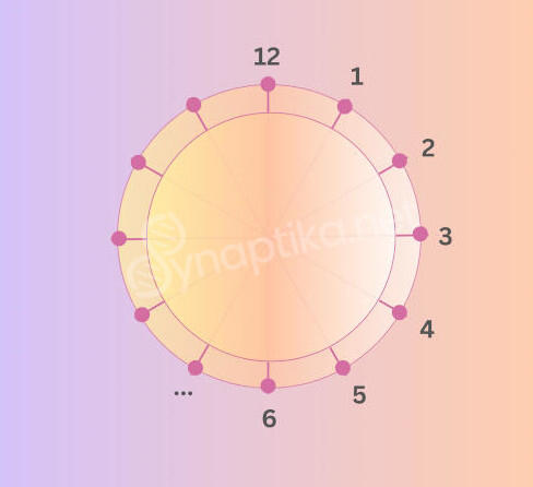 Cercle avec douze points, associés à la structure de la fleur de vie