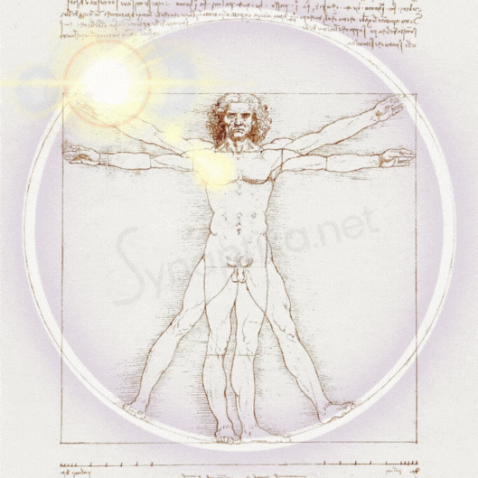 Image illustrant Léonard de Vinci